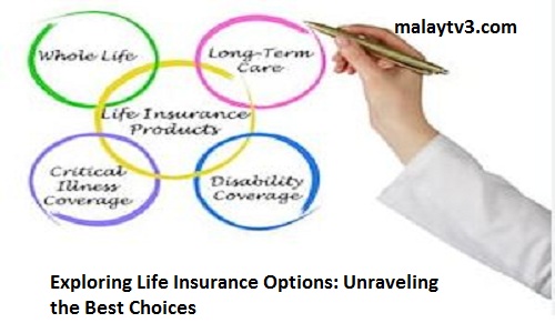 Exploring Life Insurance Options: Unraveling the Best Choices